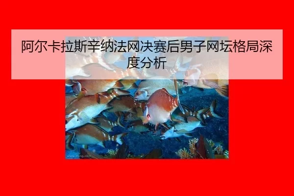 a-er-ka-la-si-xin-na-fa-wang-jue-sai-hou-nan-zi-wang-tan-ge-ju-shen-du-fen-xi-2-293.jpg